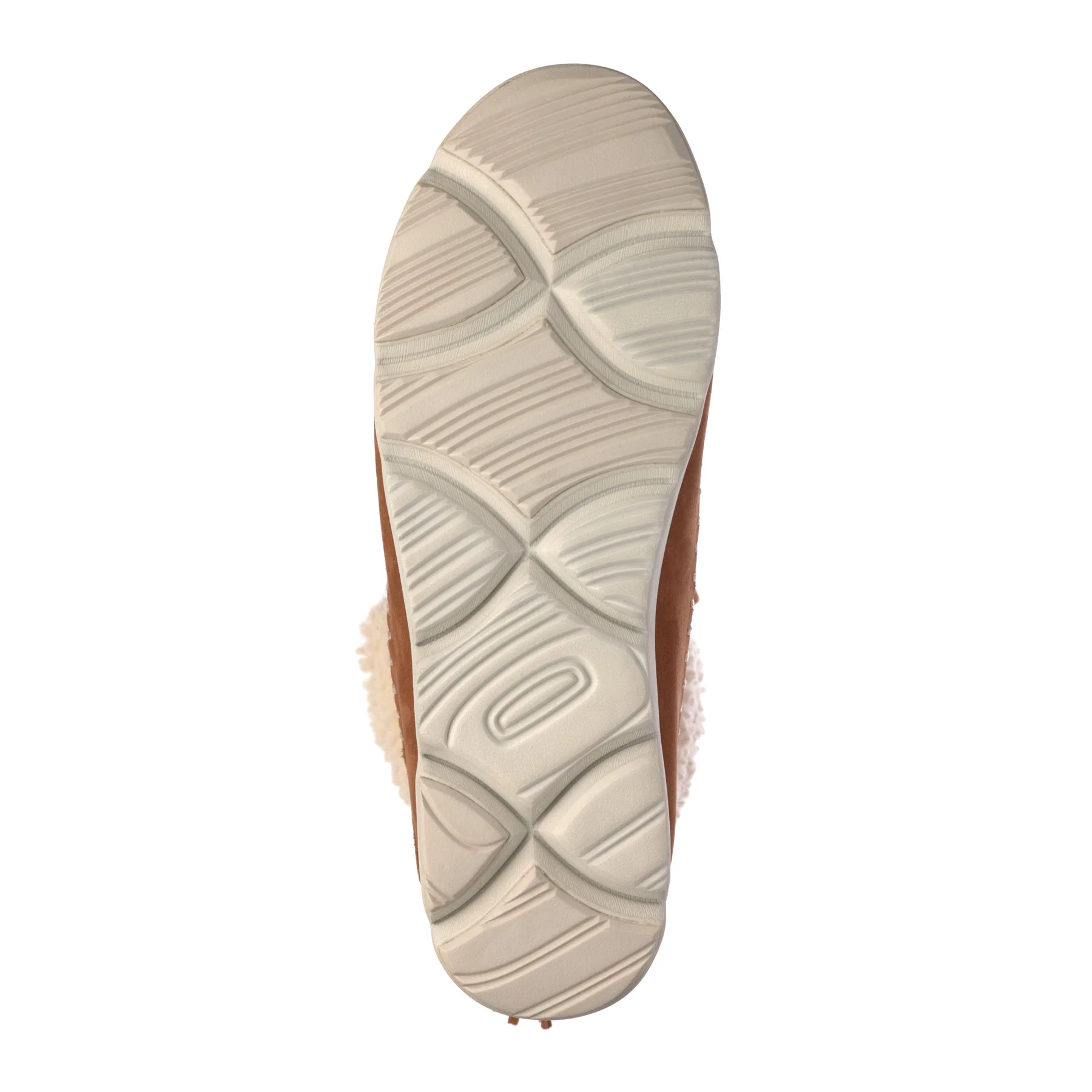 Pacific Hiker - Image 7